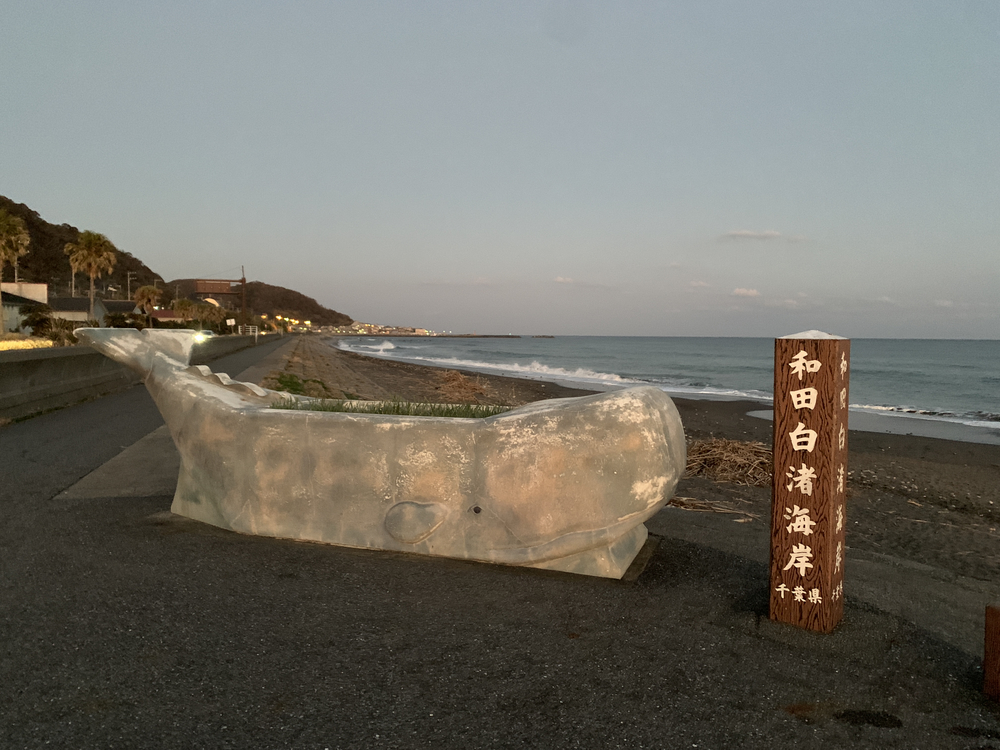 道の駅和田浦WA・O!から始まる潮風ラン5.8キロの写真5