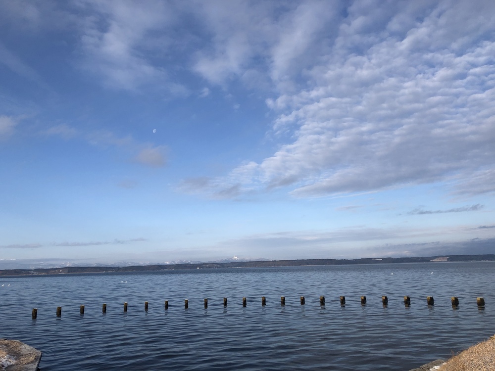 ちょいとひと息RUN。山と月と白鳥と湖たまにオオセッカの写真6