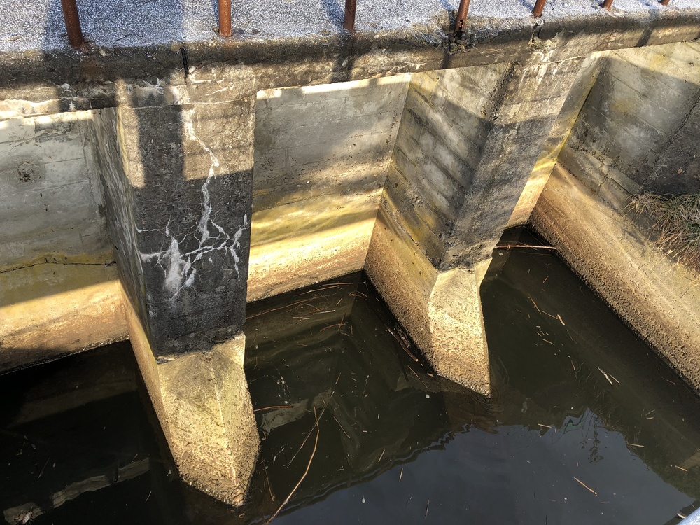 ちょいとひと息RUN。山と月と白鳥と湖たまにオオセッカの写真7