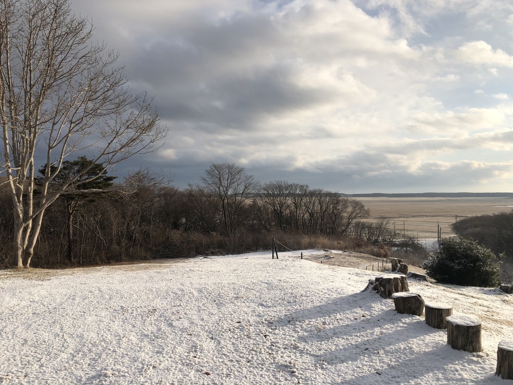 ちょいとひと息RUN。山と月と白鳥と湖たまにオオセッカの写真12