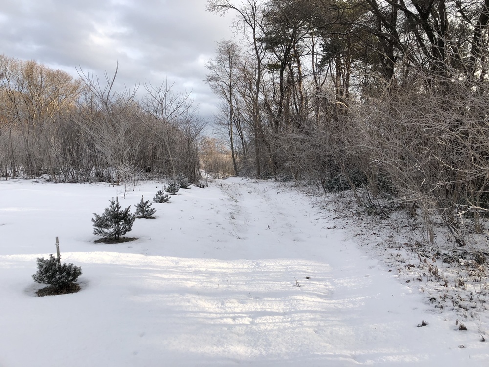 ちょいとひと息RUN。山と月と白鳥と湖たまにオオセッカの写真14