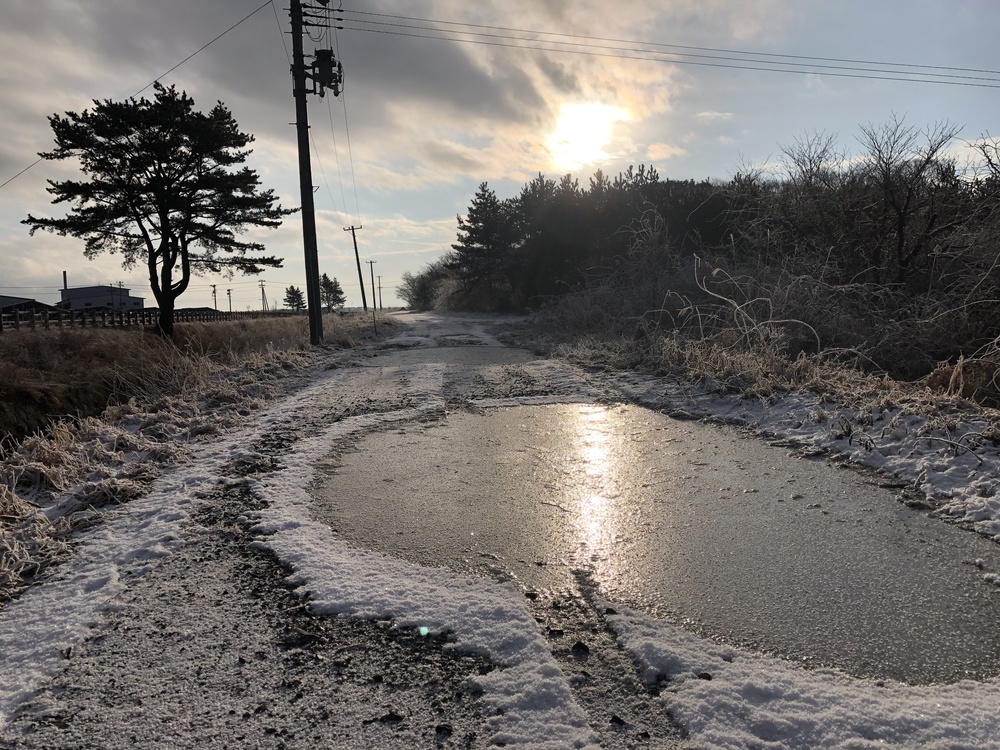 ちょいとひと息RUN。山と月と白鳥と湖たまにオオセッカの写真15
