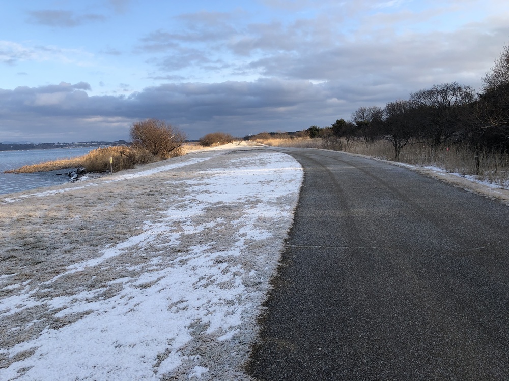 ちょいとひと息RUN。山と月と白鳥と湖たまにオオセッカの写真16