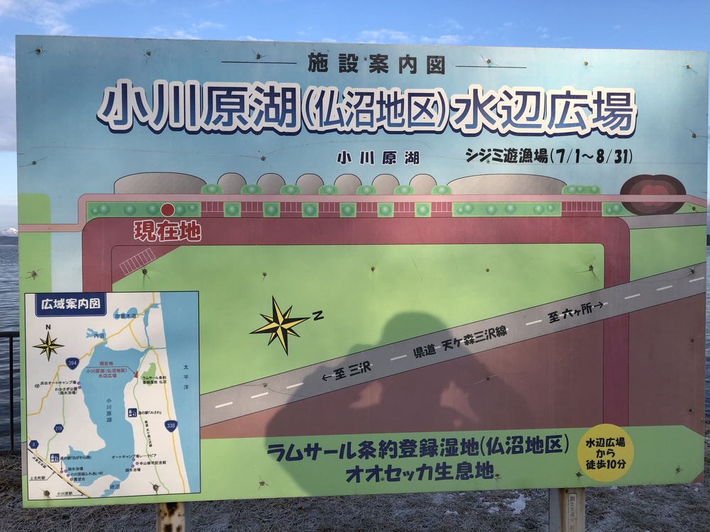 ちょいとひと息RUN。山と月と白鳥と湖たまにオオセッカの写真17