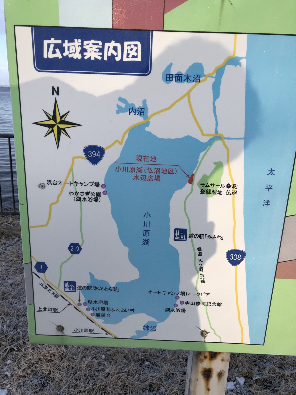 ちょいとひと息RUN。山と月と白鳥と湖たまにオオセッカの写真18