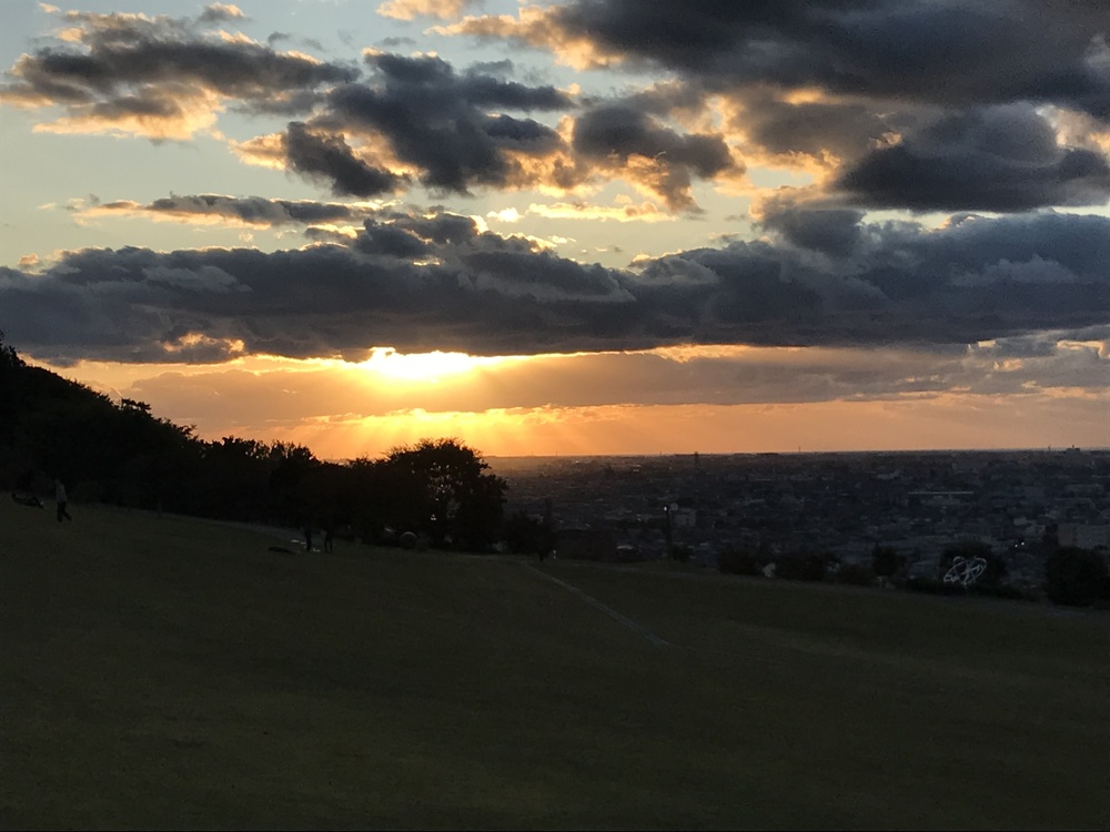 大乗寺丘陵公園の写真3