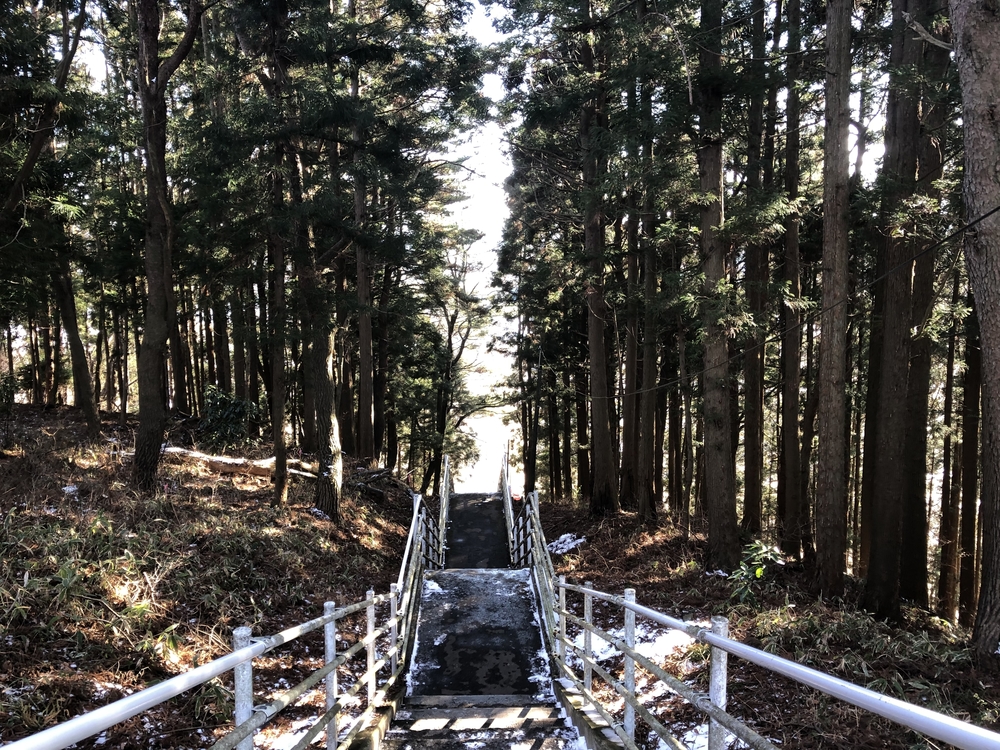 多賀台の山を利用したアップダウン走の写真4