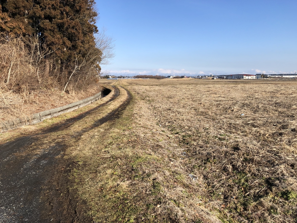 多賀台の山を利用したアップダウン走の写真8