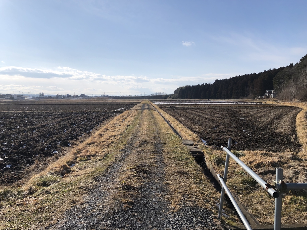 多賀台の山を利用したアップダウン走の写真9