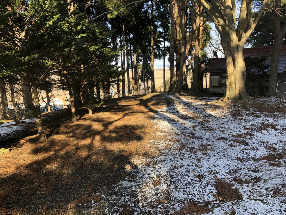 多賀台の山を利用したアップダウン走の写真12