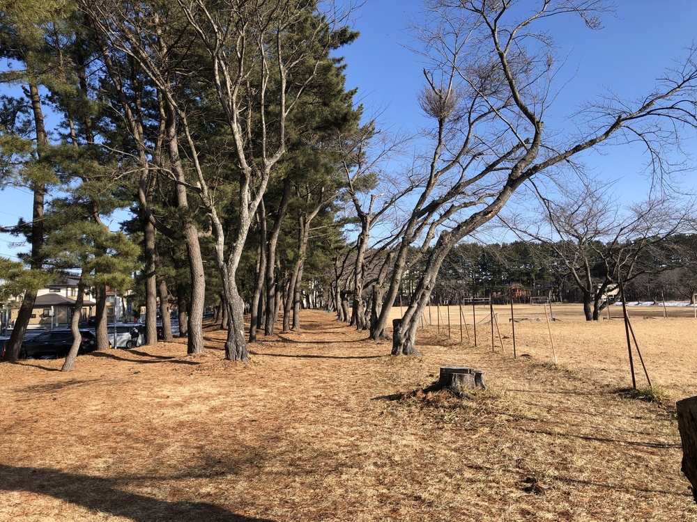 多賀台の山を利用したアップダウン走の写真14