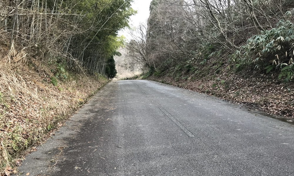 倶利伽羅峠　坂道トレーニングの写真3