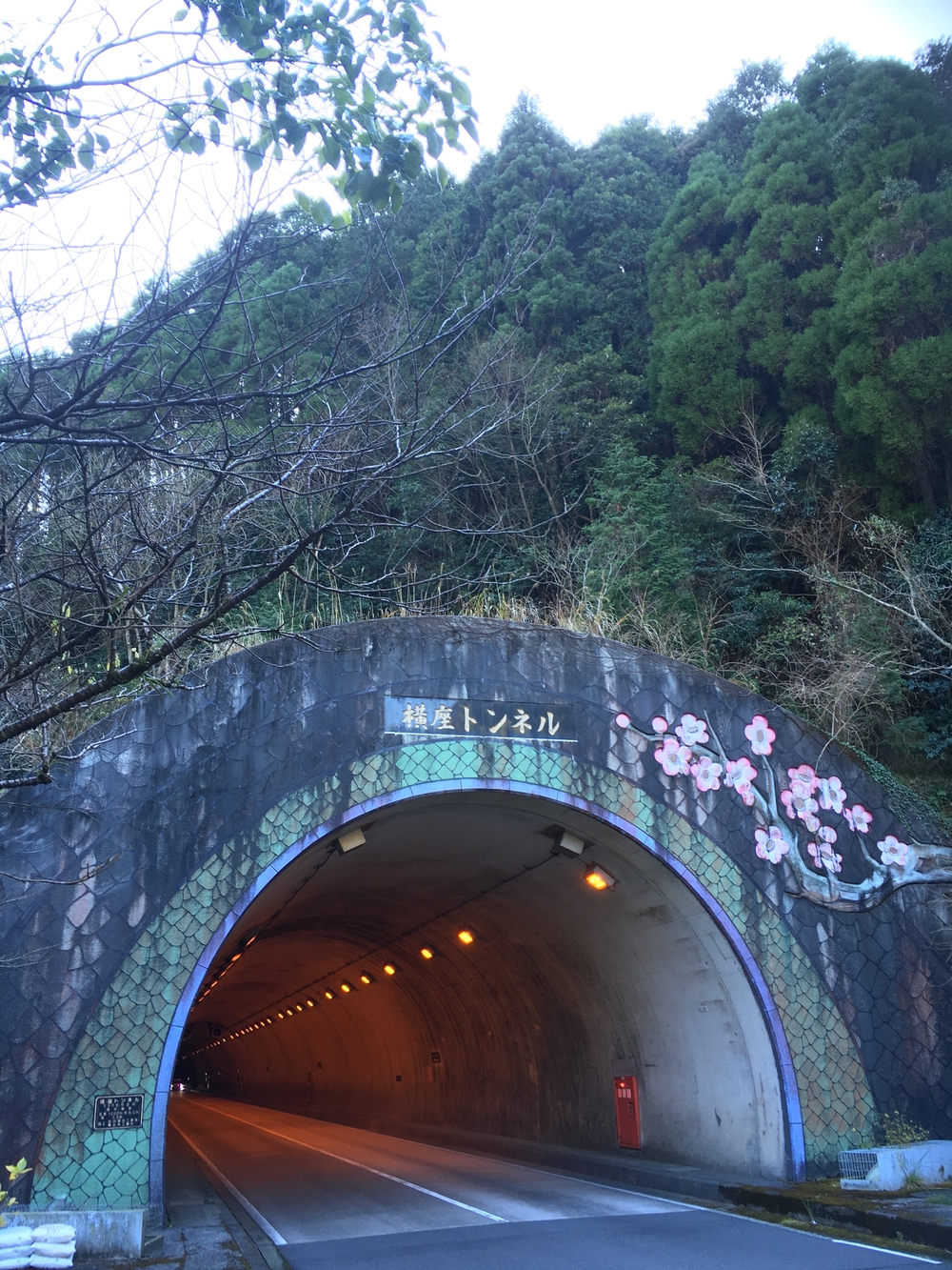 博多駅→鹿児島中央駅345kmジャーニーラン4日目の写真3