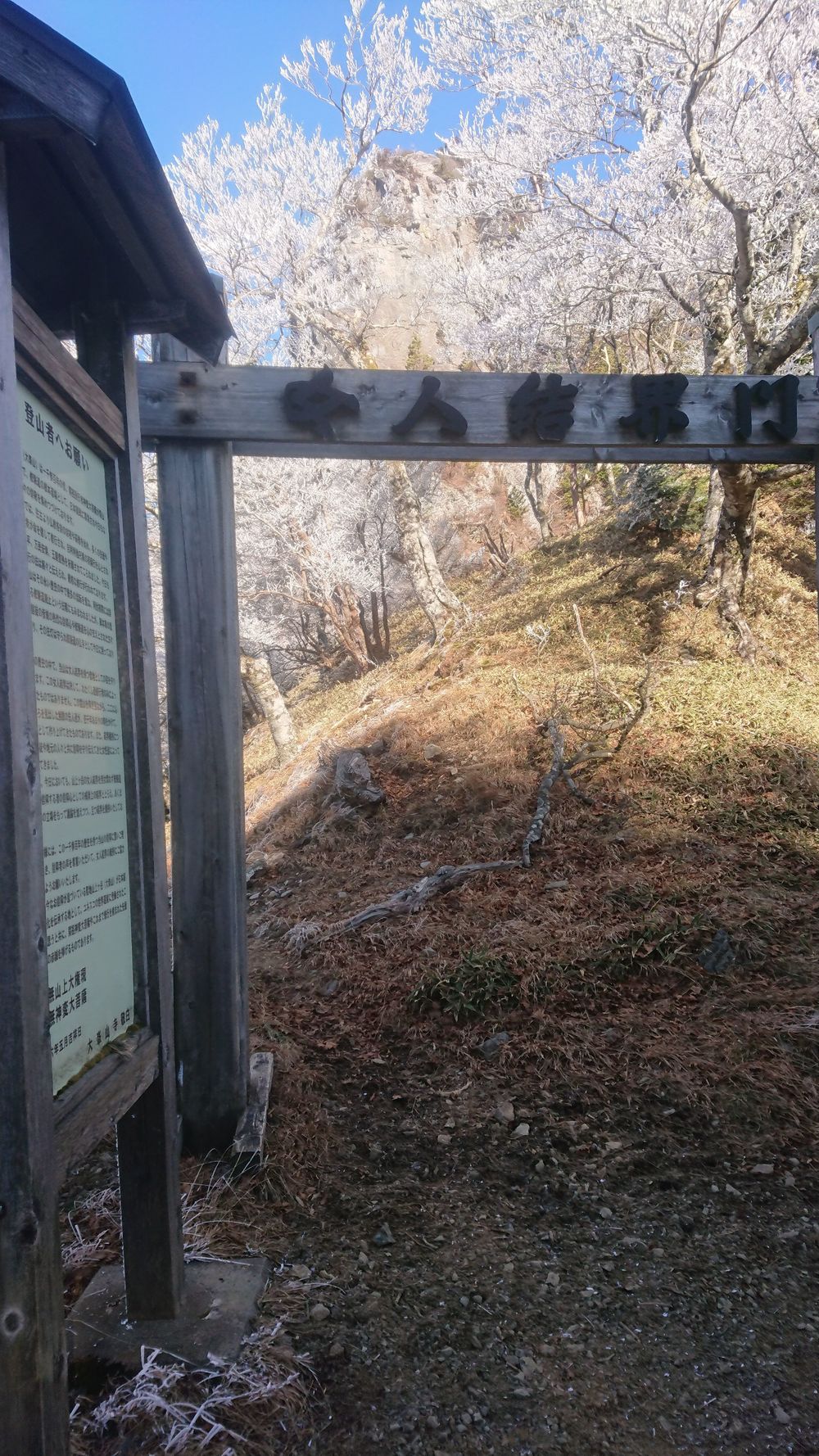 暖冬ならではの景色。樹氷と緑のコラボ。の写真16