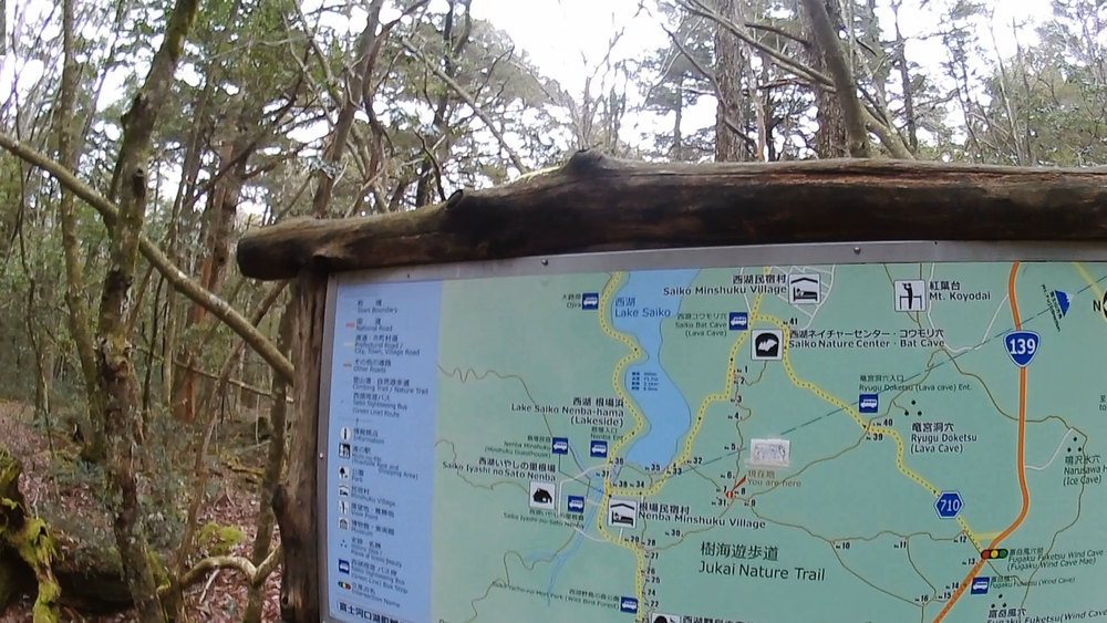 山梨県、富士山麓青木ヶ原樹海、河口湖、西湖周遊２０キロのコースの写真3