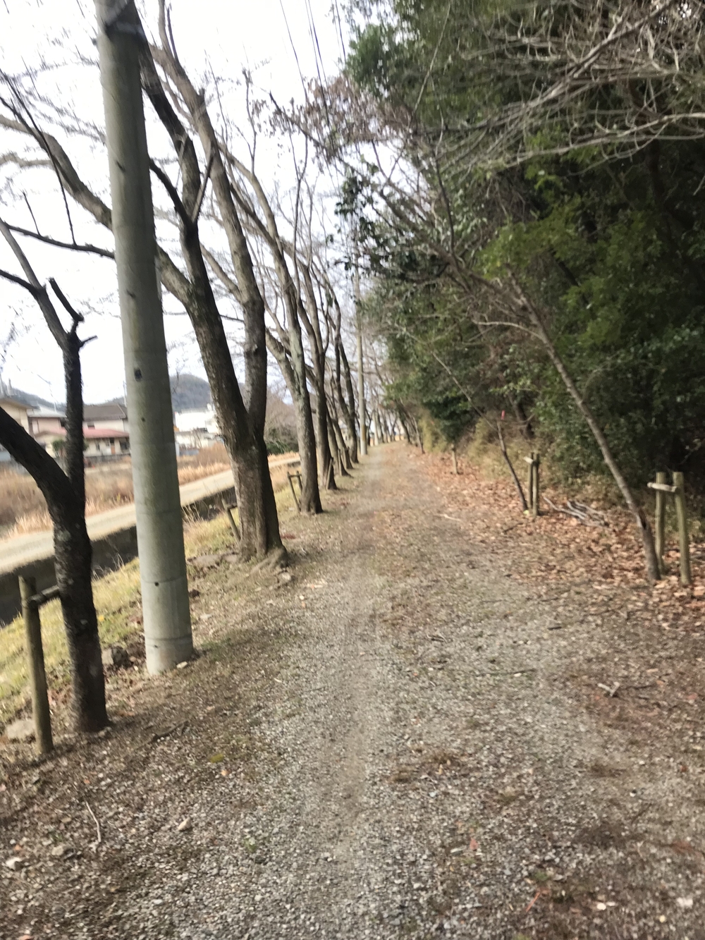 千種川〜旧赤穂線〜赤穂城を巡るランの写真3