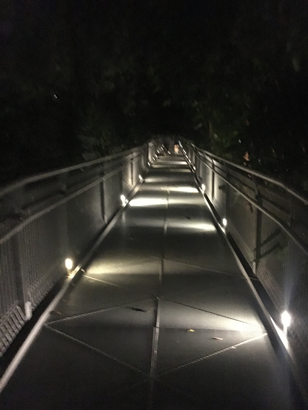 Ridge Runners : Basic10k + 3 Loops = 16-17kの写真3