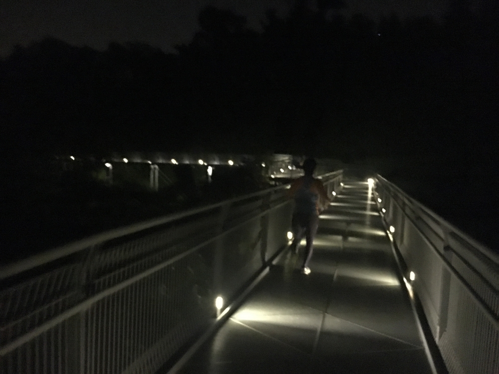 Ridge Runners : Basic10k + 3 Loops = 16-17kの写真4