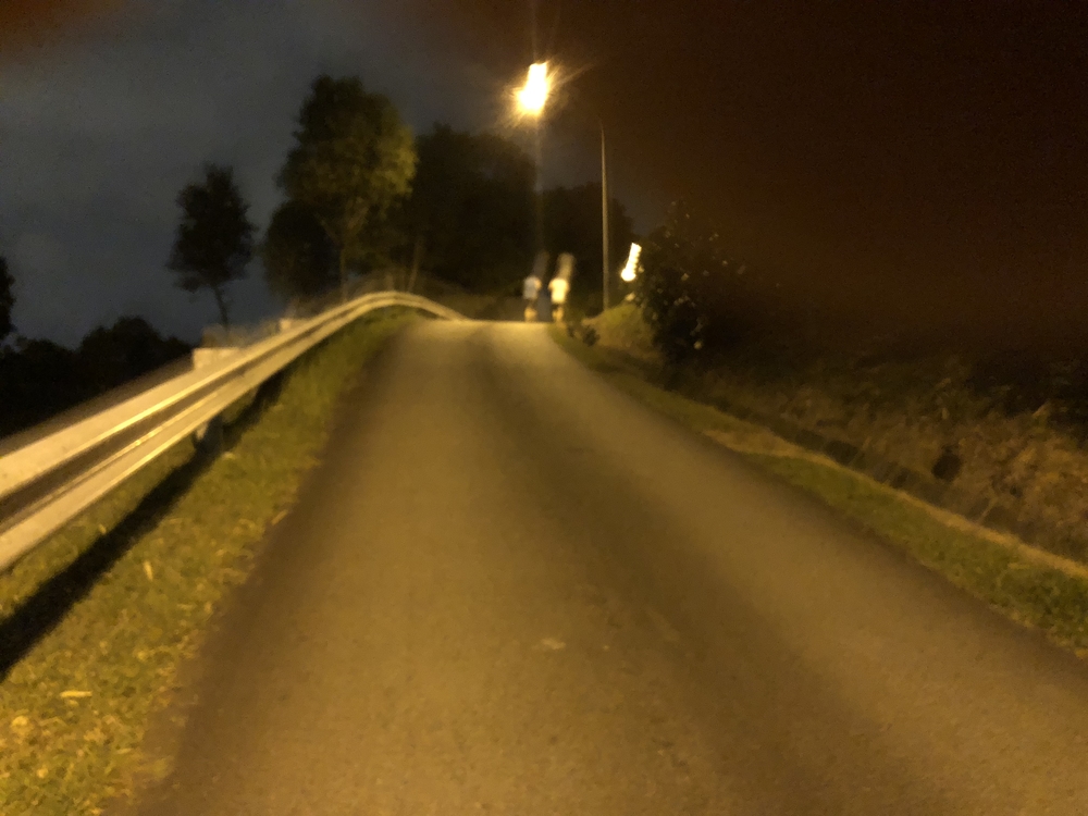 Ridge Runners : Basic10k + 3 Loops = 16-17kの写真6