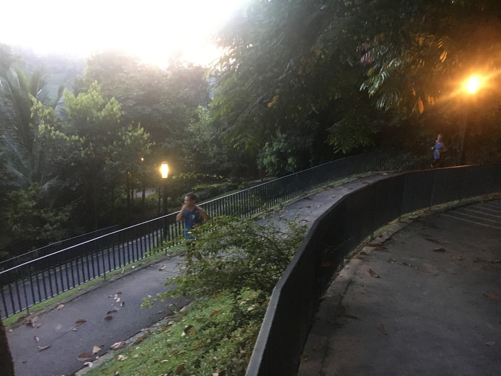 Ridge Runners : Basic10k + 3 Loops = 16-17kの写真7