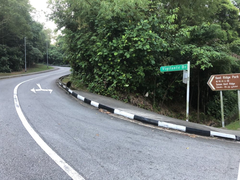 Ridge Runners : Basic10k + 3 Loops = 16-17kの写真8