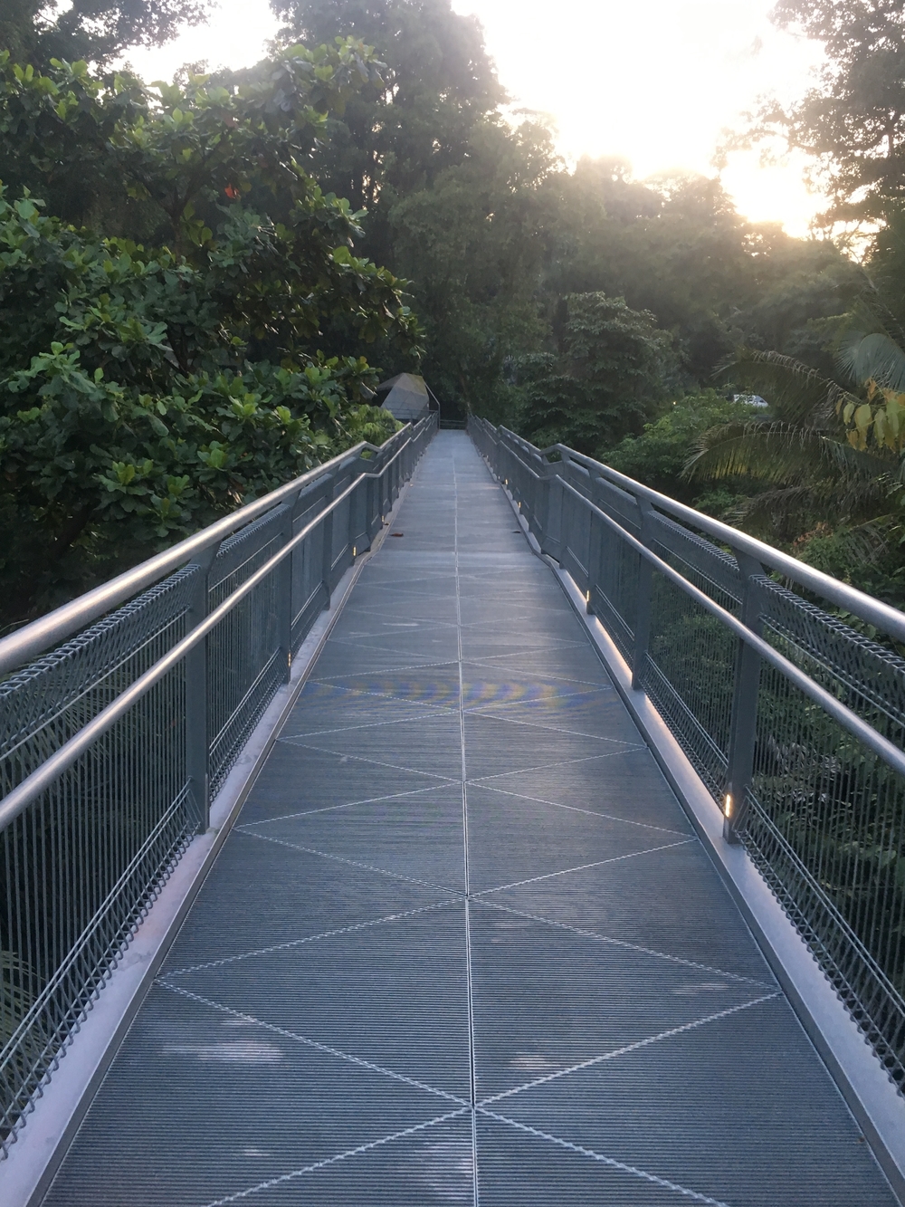 Ridge Runners : Basic10k + 3 Loops = 16-17kの写真9