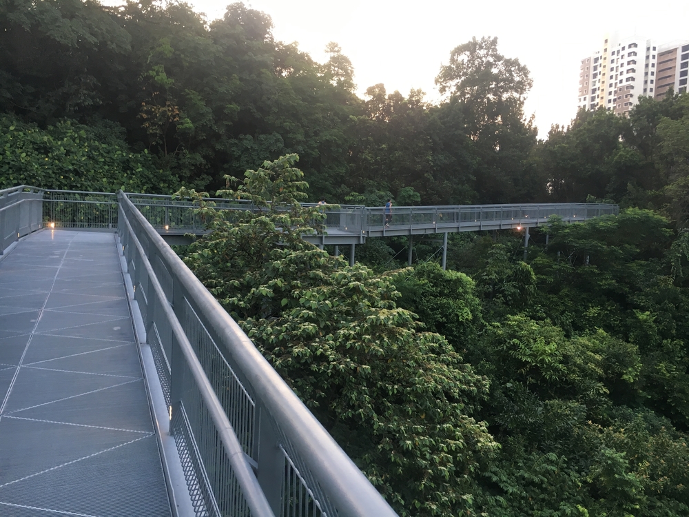 Ridge Runners : Basic10k + 3 Loops = 16-17kの写真11