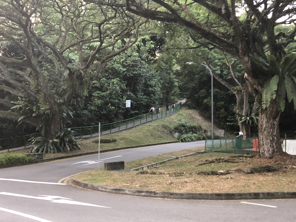 Ridge Runners : Basic10k + 3 Loops = 16-17kの写真12