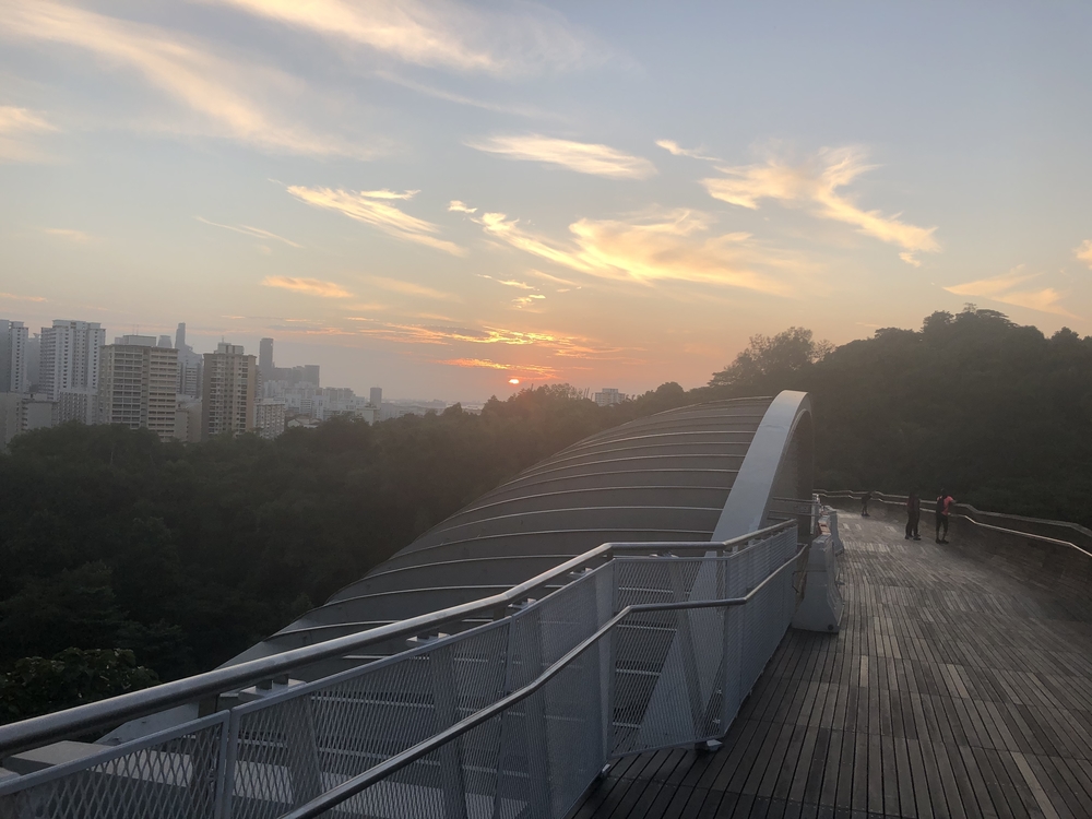 Ridge Runners : Basic10k + 3 Loops = 16-17kの写真13