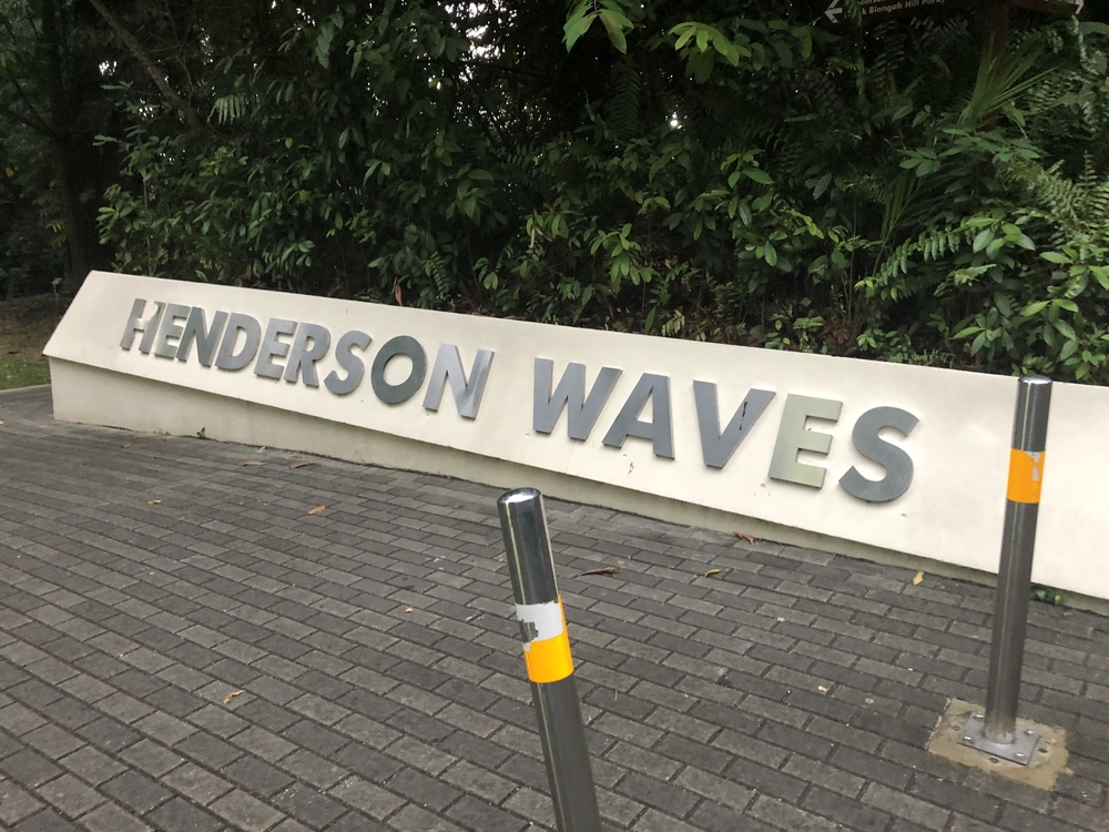 Ridge Runners : Basic10k + 3 Loops = 16-17kの写真14