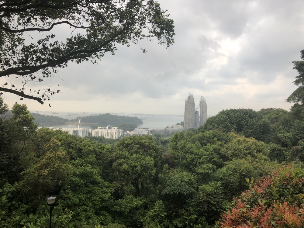 Ridge Runners : Basic10k + 3 Loops = 16-17kの写真16