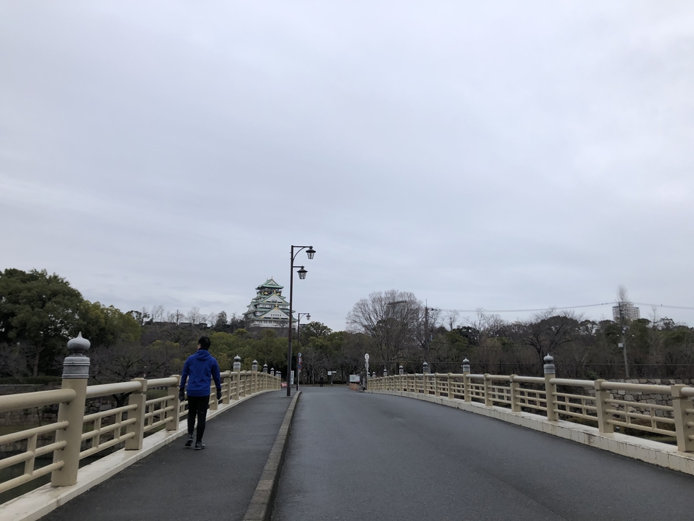 大阪国際女子マラソンの15km地点から30km地点までの写真4