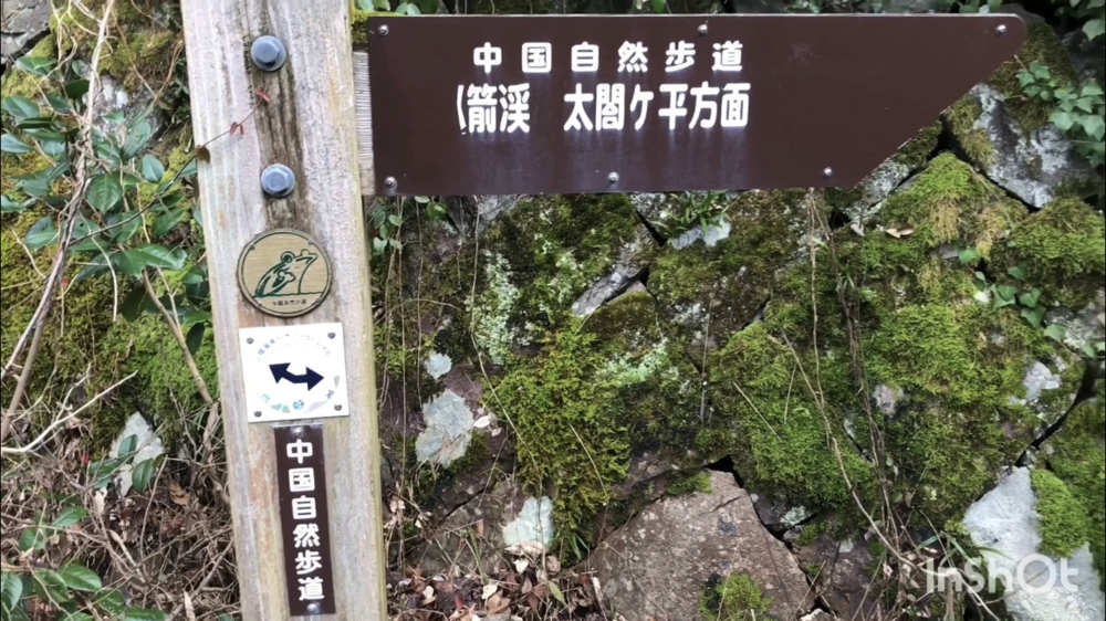 鳥取県庁の裏山トレイルがこんなに楽しいなんて！（中国自然歩道）の写真6