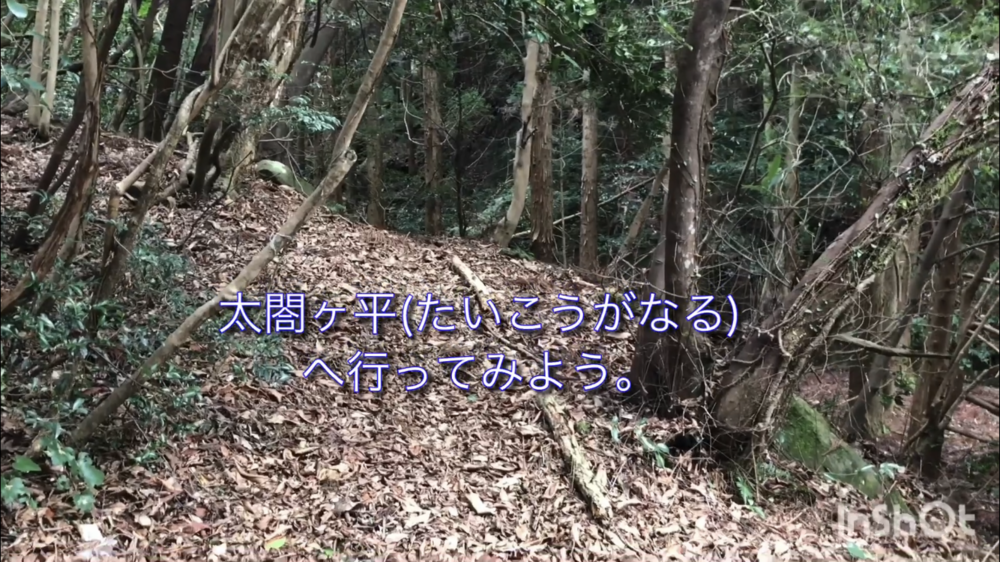 鳥取県庁の裏山トレイルがこんなに楽しいなんて！（中国自然歩道）の写真7