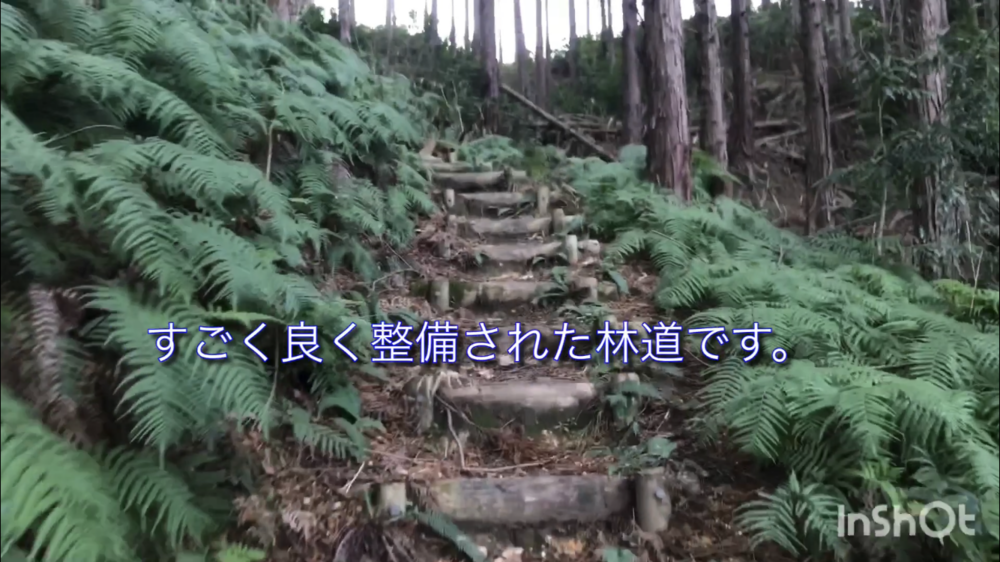 鳥取県庁の裏山トレイルがこんなに楽しいなんて！（中国自然歩道）の写真8