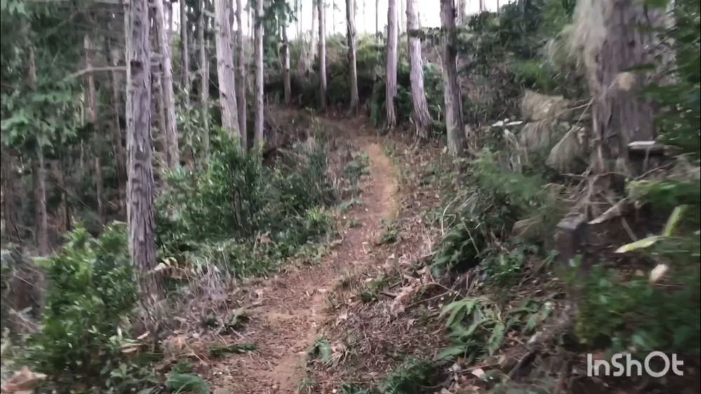 鳥取県庁の裏山トレイルがこんなに楽しいなんて！（中国自然歩道）の写真9