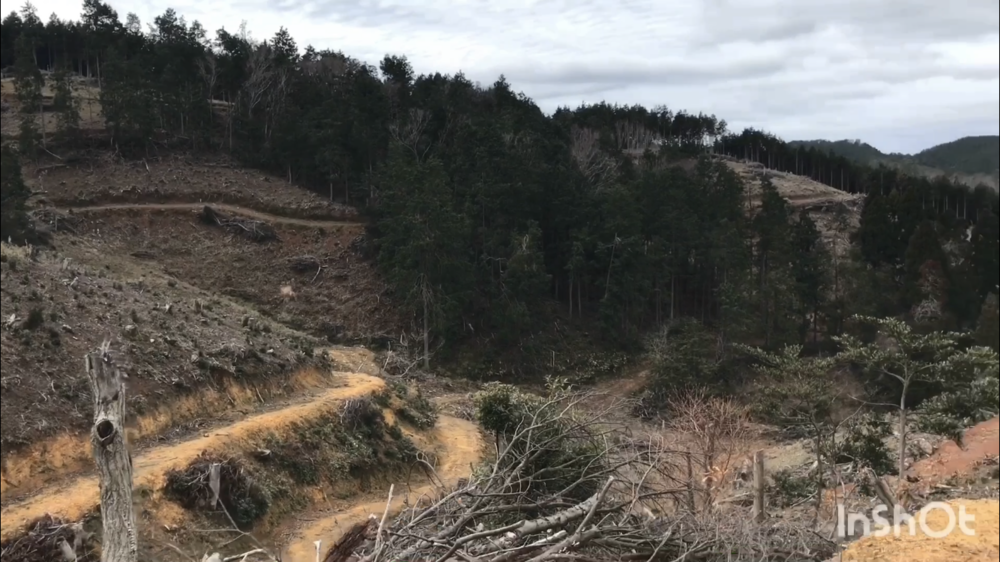 鳥取県庁の裏山トレイルがこんなに楽しいなんて！（中国自然歩道）の写真12