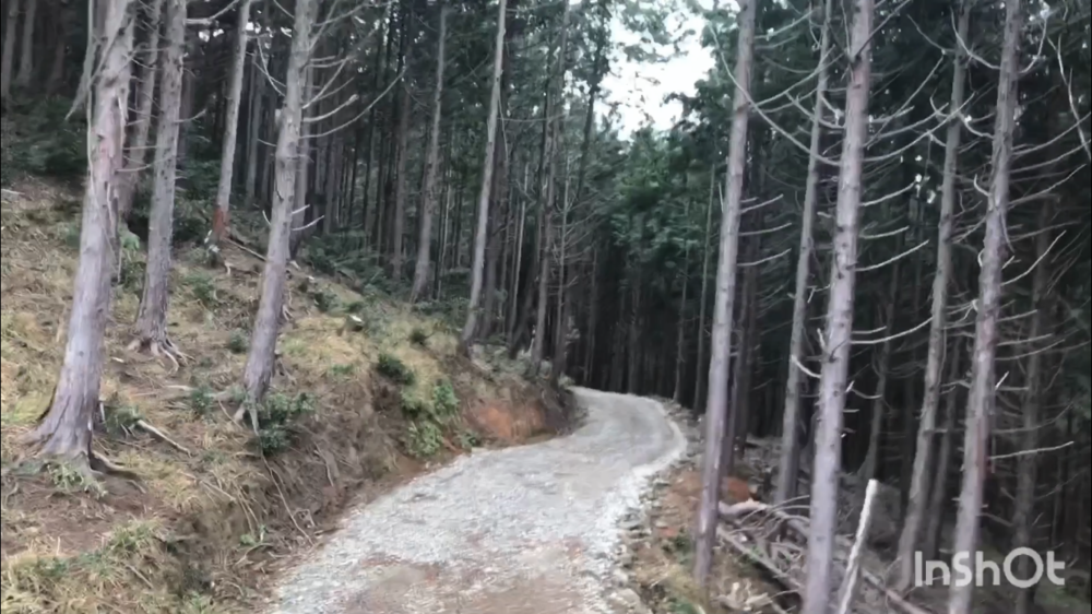 鳥取県庁の裏山トレイルがこんなに楽しいなんて！（中国自然歩道）の写真13