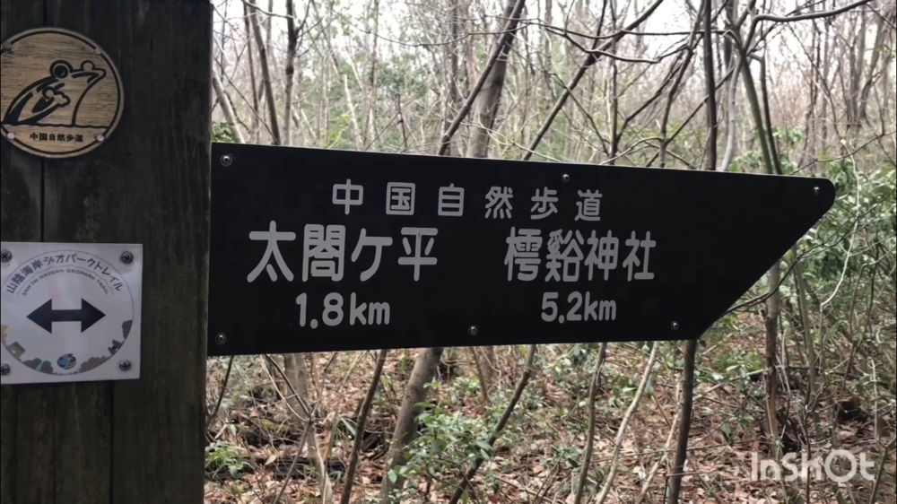 鳥取県庁の裏山トレイルがこんなに楽しいなんて！（中国自然歩道）の写真15