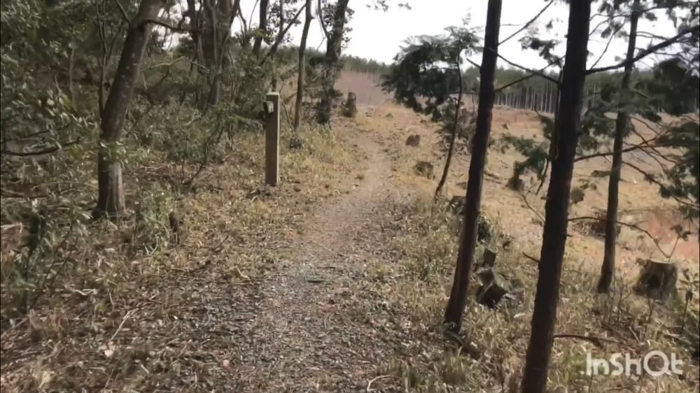 鳥取県庁の裏山トレイルがこんなに楽しいなんて！（中国自然歩道）の写真17