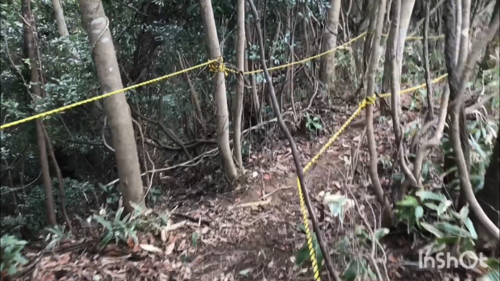 鳥取県庁の裏山トレイルがこんなに楽しいなんて！（中国自然歩道）の写真19