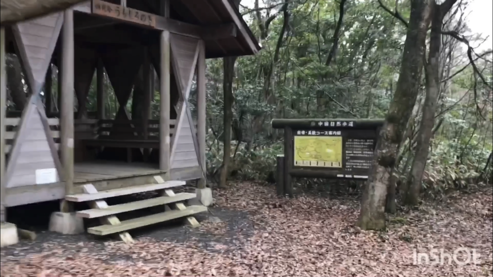 鳥取県庁の裏山トレイルがこんなに楽しいなんて！（中国自然歩道）の写真20
