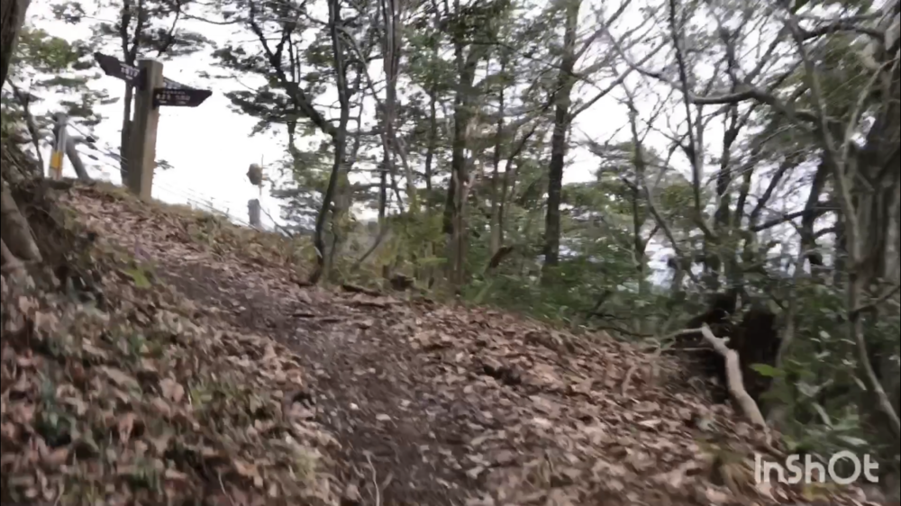 鳥取県庁の裏山トレイルがこんなに楽しいなんて！（中国自然歩道）の写真22