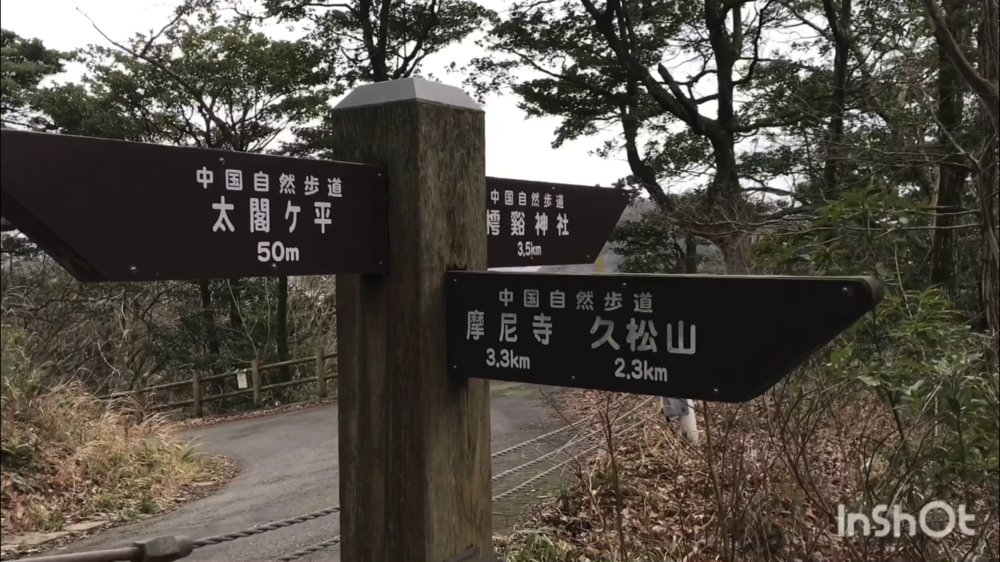 鳥取県庁の裏山トレイルがこんなに楽しいなんて！（中国自然歩道）の写真23