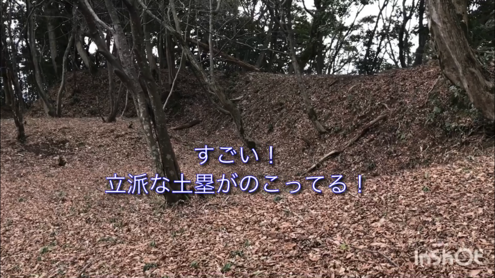 鳥取県庁の裏山トレイルがこんなに楽しいなんて！（中国自然歩道）の写真26