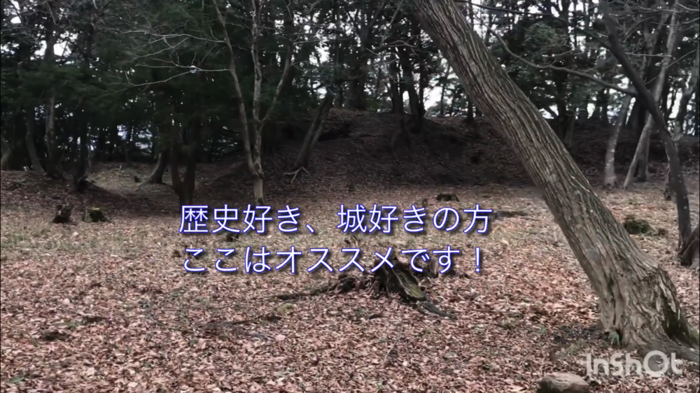 鳥取県庁の裏山トレイルがこんなに楽しいなんて！（中国自然歩道）の写真27