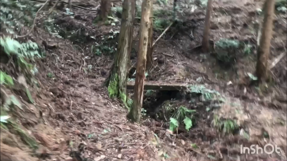 鳥取県庁の裏山トレイルがこんなに楽しいなんて！（中国自然歩道）の写真28
