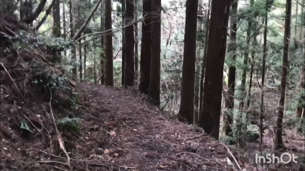 鳥取県庁の裏山トレイルがこんなに楽しいなんて！（中国自然歩道）の写真29