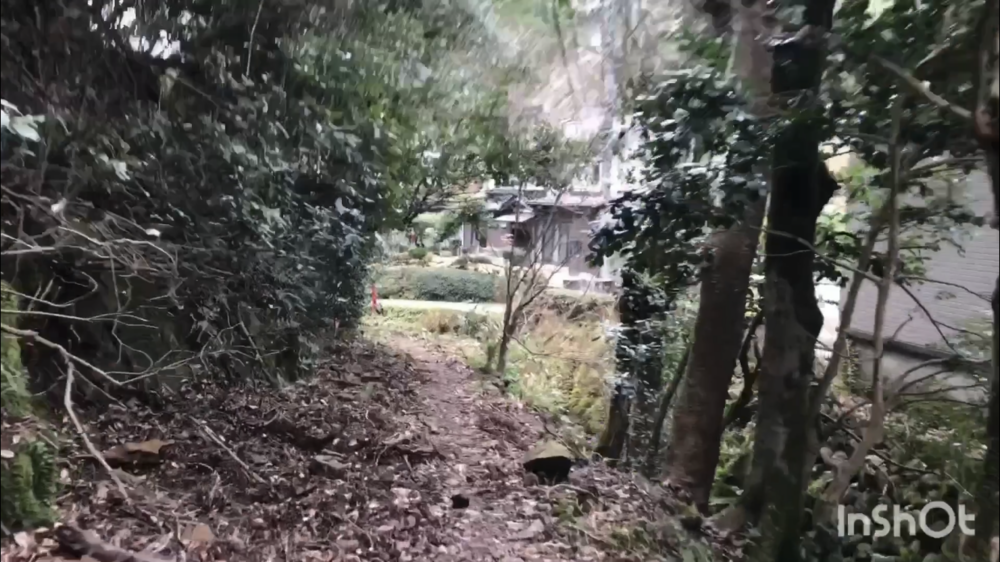 鳥取県庁の裏山トレイルがこんなに楽しいなんて！（中国自然歩道）の写真30