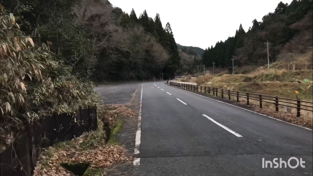 鳥取県庁の裏山トレイルがこんなに楽しいなんて！（中国自然歩道）の写真35
